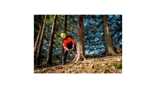 MS 36-18 LTX BL 40 Cordless chain saw image