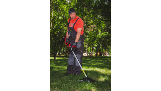 R20 Brushless Cordless Brush Cutter 40V 4in1 RDP-BCPSHT20 image