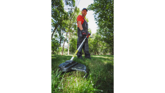 R20 Trimmer electric brushless 40V 4in1 RDP-BCPSHT20 image