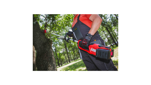 R20 Коса безчеткова с нож и корда 40V 4в1 RAIDER PRO RDP-BCPSHT20 image