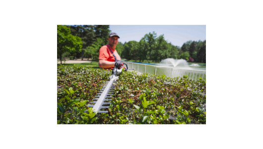 R20 Trimmer electric brushless 40V 4in1 RDP-BCPSHT20 image