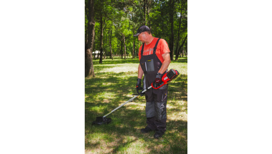 R20 Brushless Cordless Brush Cutter 40V 4in1 RDP-BCPSHT20 image