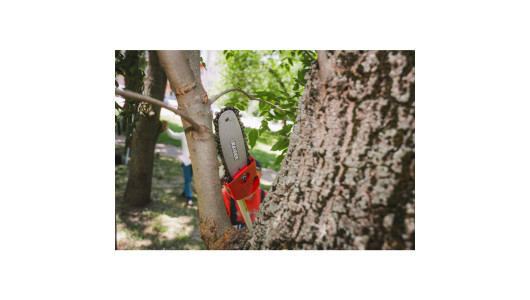 R20 Коса безчеткова с нож и корда 40V 4в1 RAIDER PRO RDP-BCPSHT20 image