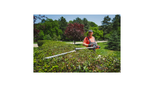 R20 Brushless Cordless Brush Cutter 40V 4in1 RDP-BCPSHT20 image