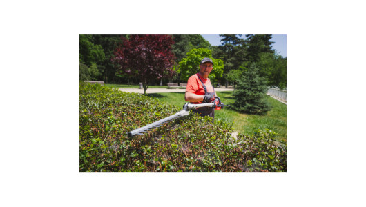 R20 Brushless Cordless Brush Cutter 40V 4in1 RDP-BCPSHT20 image