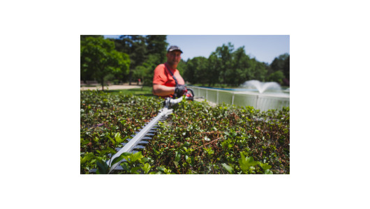 R20 Trimmer electric brushless 40V 4in1 RDP-BCPSHT20 image